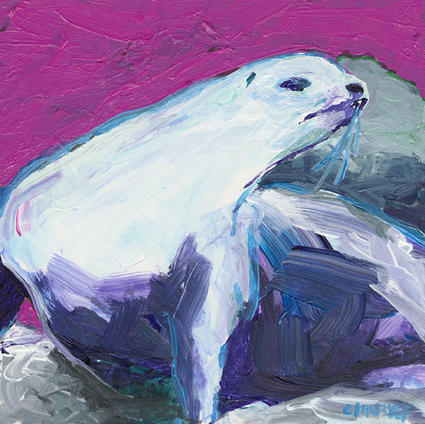 White Seal by Christopher Harvey