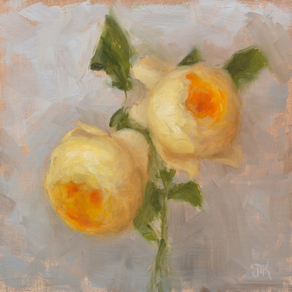 Charlotte Roses by Julie Tsang Kavanagh