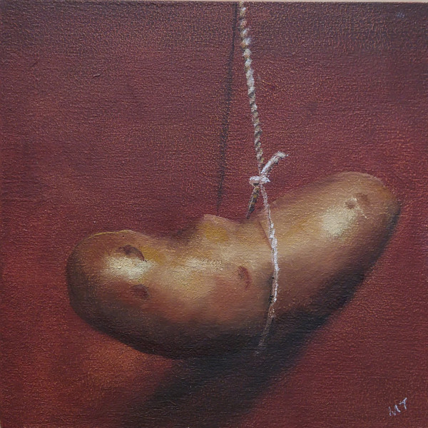Spuds- Hanging Potato