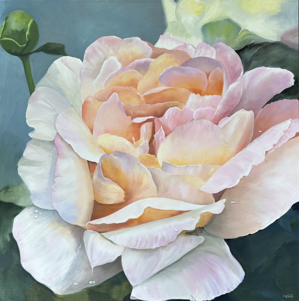 Coral Sunset Peony by Mona Turner