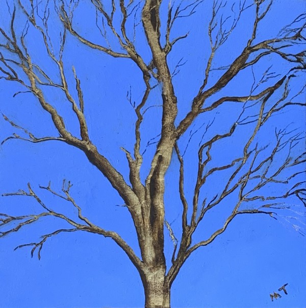 Tree#9 by Mona Turner