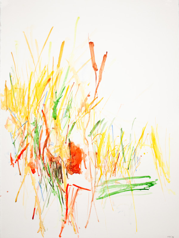 Autumn Grasses by Michael Rich