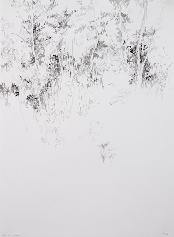 Edge of the Woods by Michael Rich, Image 2.