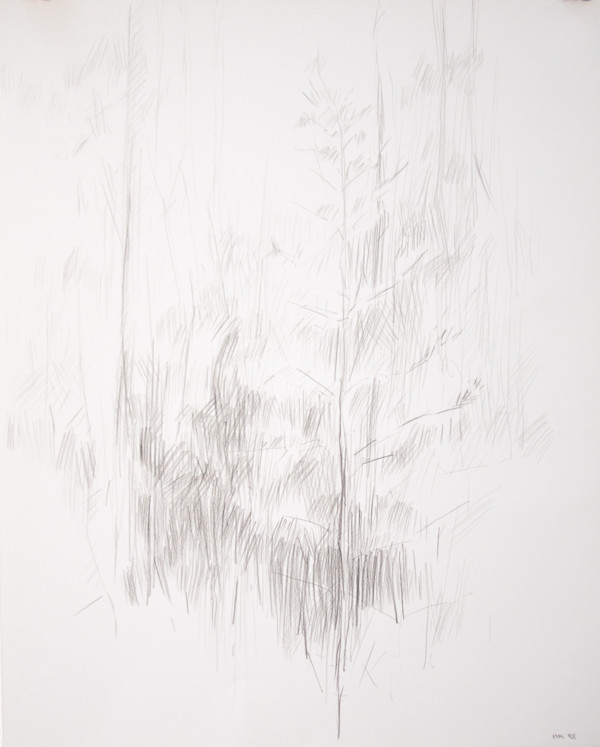 Edge of the Woods by Michael Rich