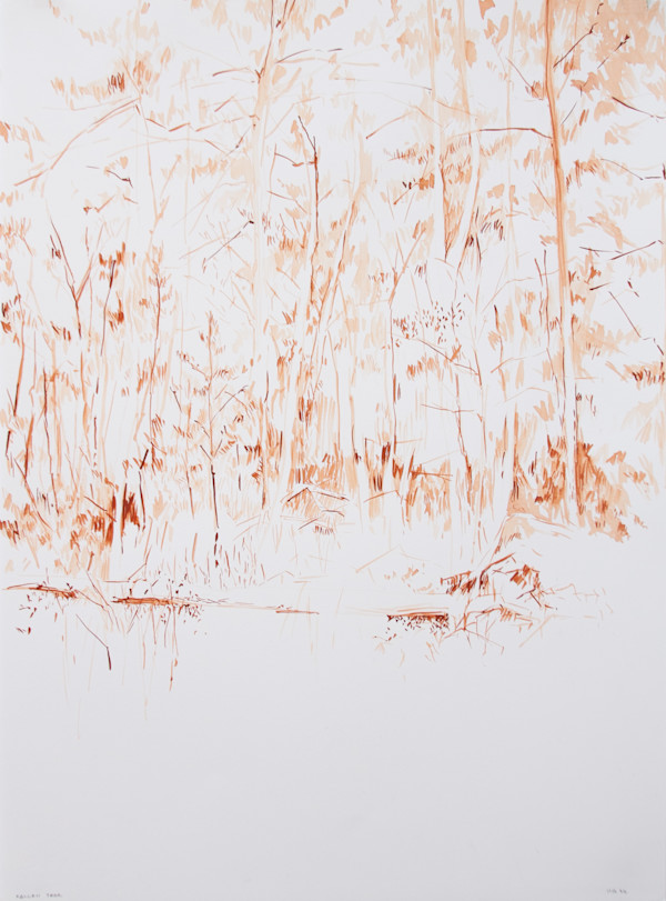 Fallen Tree by Michael Rich, Image 3.