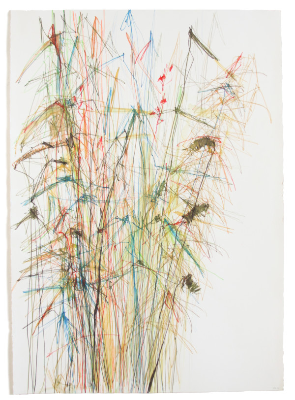 Reeds and Whispers by Michael Rich