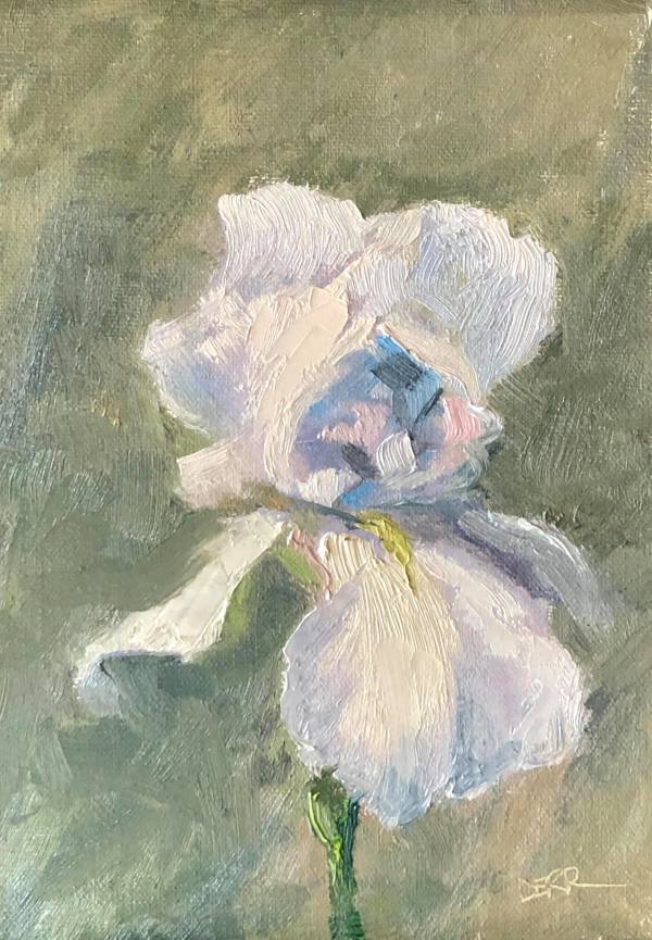 White Iris