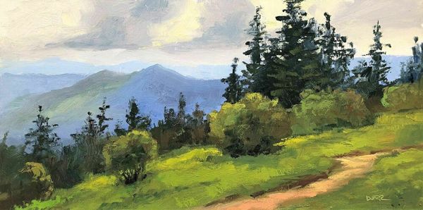 From Andrews Bald