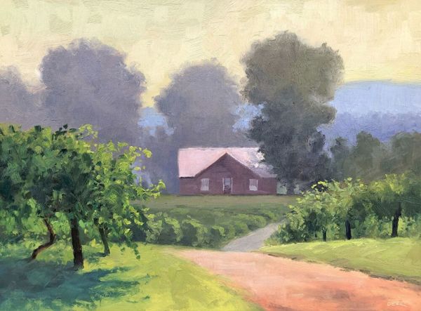 Morning Light On The Vineyard