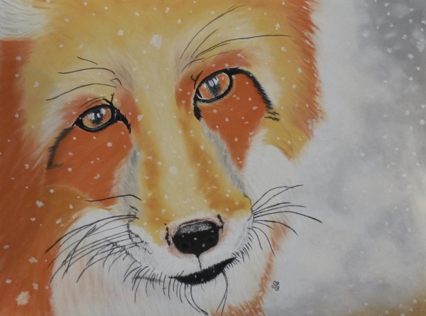 Snow Fox by Jules Chabeaux