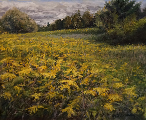 Windy Fields of Goldenrod by Cathy Lorraway Art