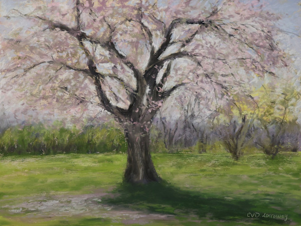 Magnolia Morning Plein Air by Cathy Lorraway Art, Image 1.