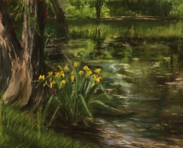 Joshua Creek Summer Pond