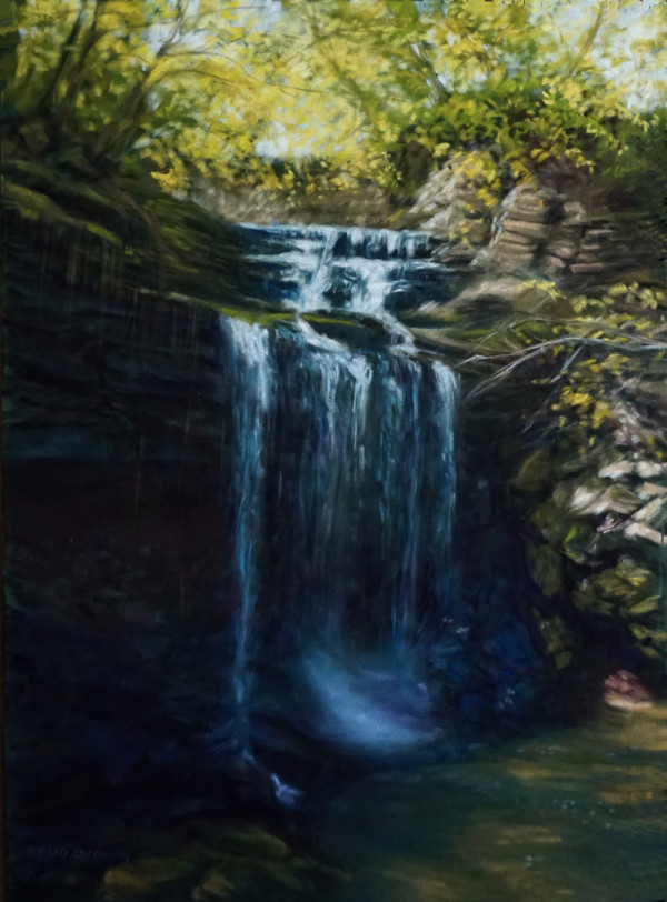 Don't Go Chasing Waterfalls, Spring Chedoke Park, Hamilton by Cathy Lorraway Art