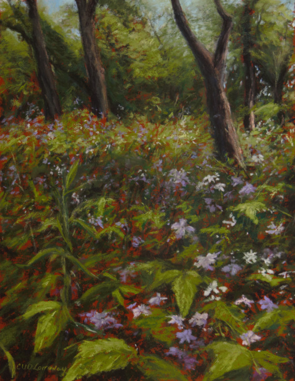Spring Meadow by Cathy Lorraway Art