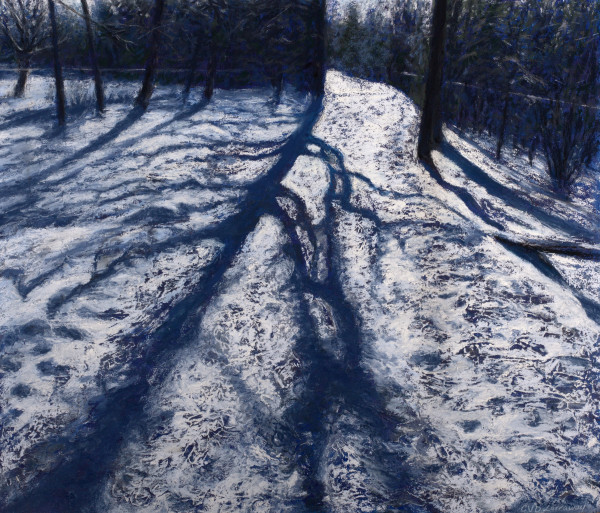 Snow Shadows by Cathy Lorraway Art