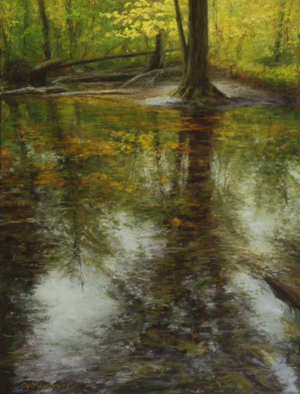 Reflections of Spring on the Twiss Road Trail by Cathy Lorraway Art