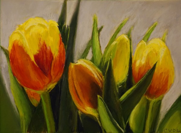 Spring Tulips by Cathy Lorraway Art