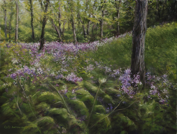 Summers Wonderful Wildflowers by Cathy Lorraway Art