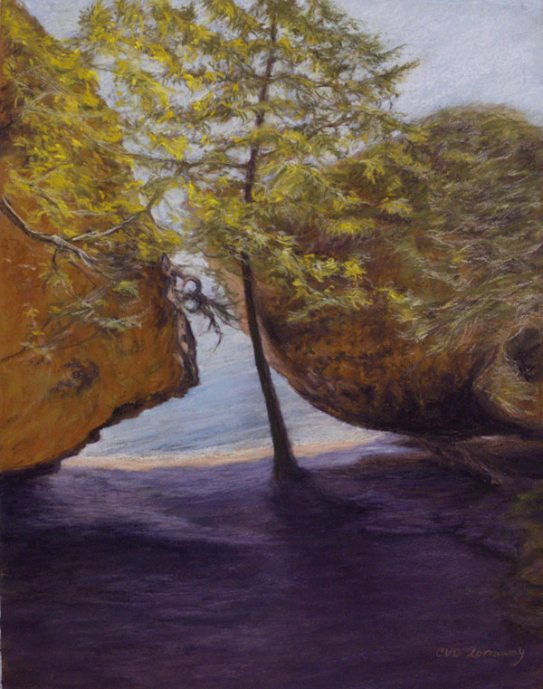 Sunlit Resilience Amongst the Rocks by Cathy Lorraway Art, Image 1.