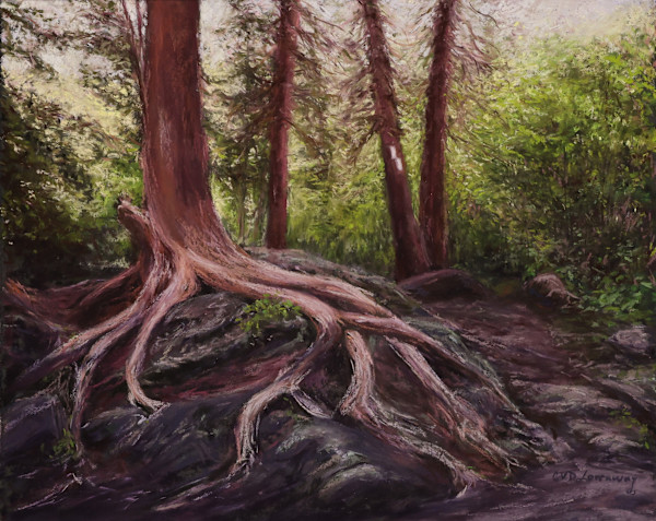 A Forest Conversation Amongst the Rocks by Cathy Lorraway Art, Image 1.
