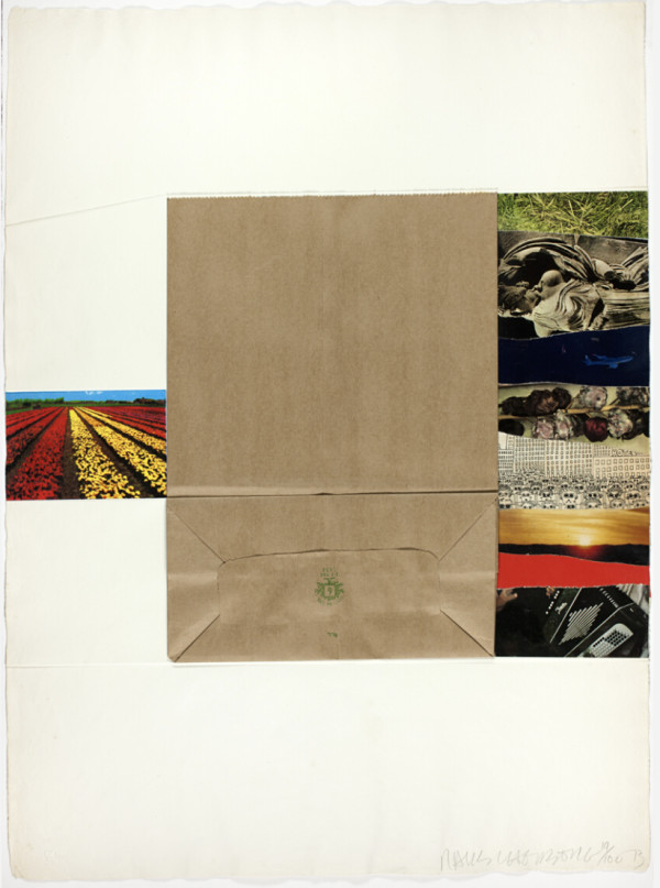 Plot, from Reality and Paradoxes by Robert Rauschenberg