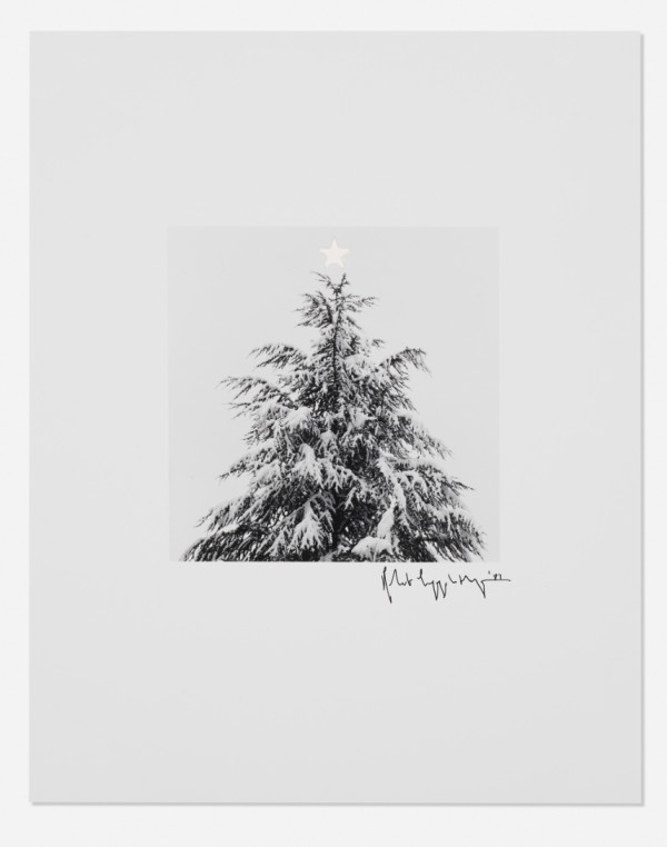 Christmas Tree by Robert Mapplethorpe