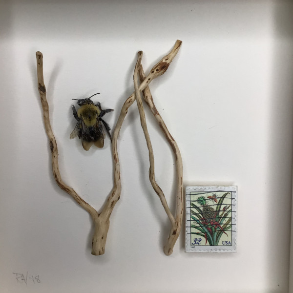 The Bee, the Willows, and the Postage Stamp