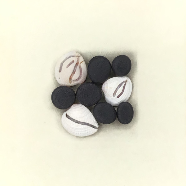Three Sanibel Shells with Six Pebbles