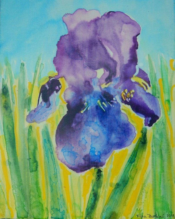 The Iris by Flora Doehler
