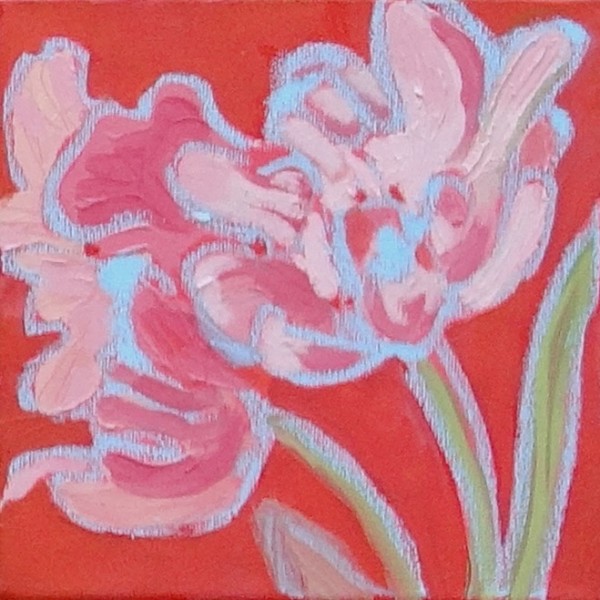 Pinks by Flora Doehler