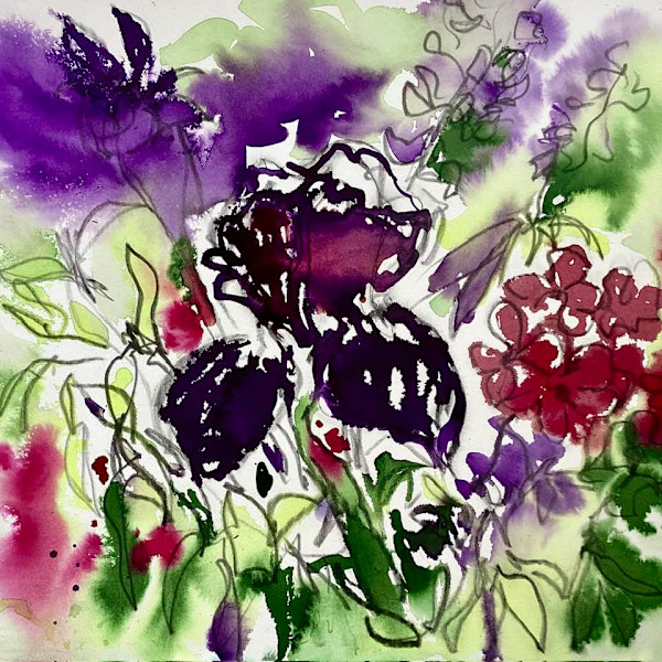 Iris in June by Flora Doehler
