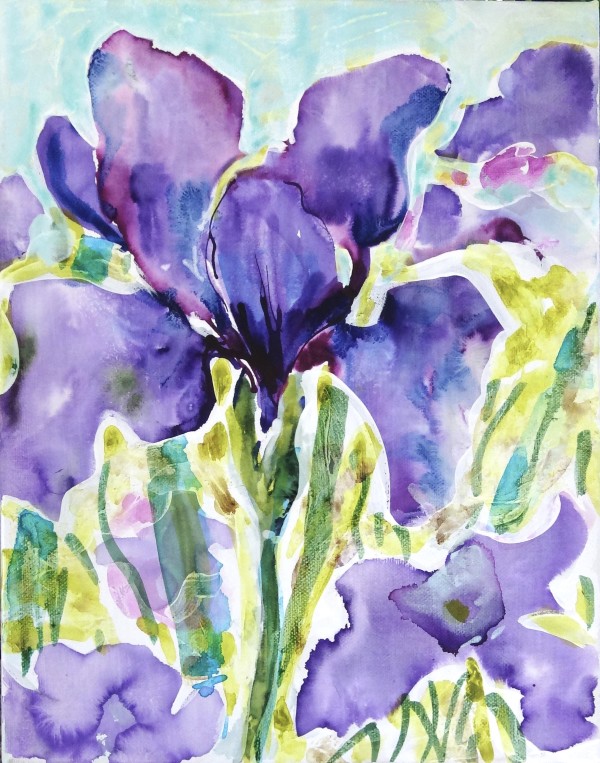 Siberian Iris by Flora Doehler