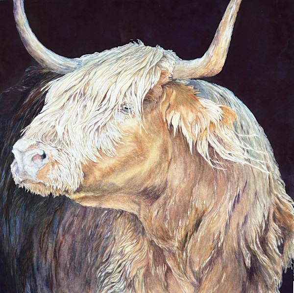 The Byre Farm's "Ally" by Susan L. Johnson Art