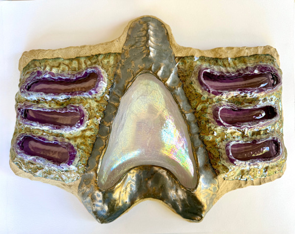 Wide wings by Kelly Witmer, Image 15.
