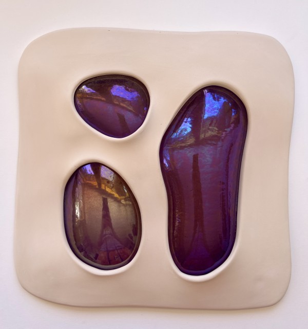 iridescent plum #3 by Kelly Witmer