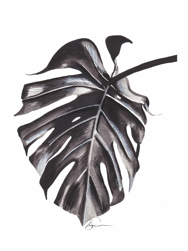 Black and white Monstera by Paige Simianer