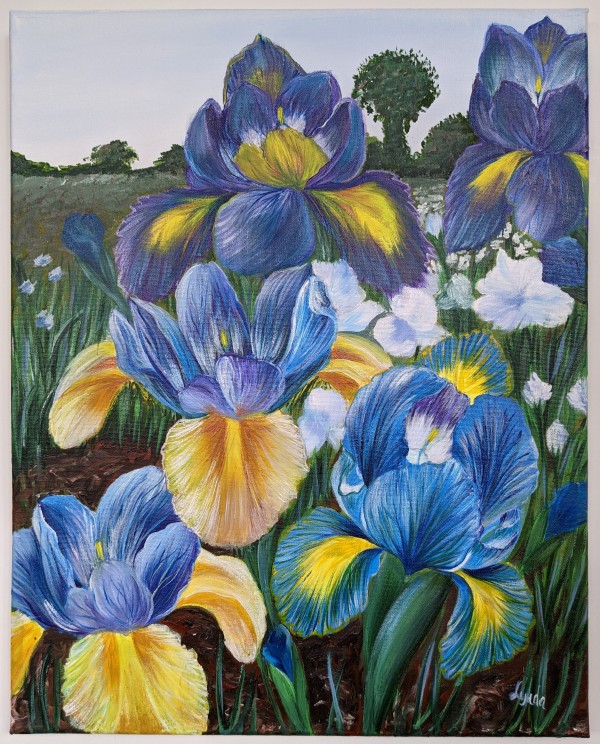 Irises by Lyuda Morhun