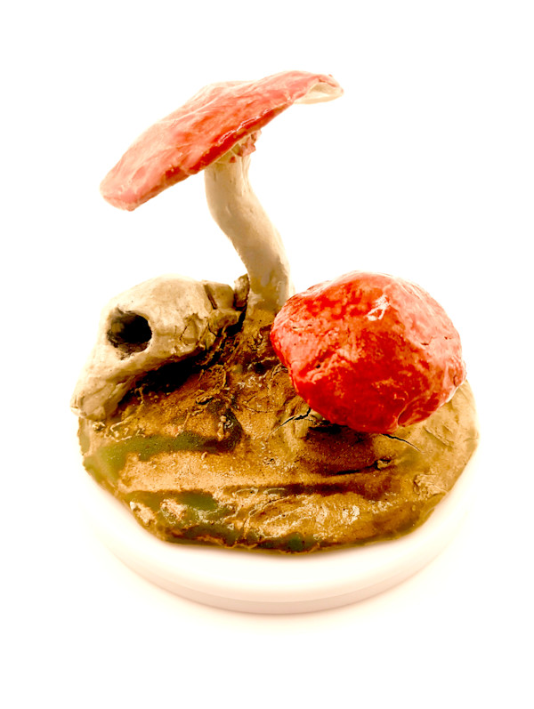 Tiny Landscape: Life Cycle by Space Monkey