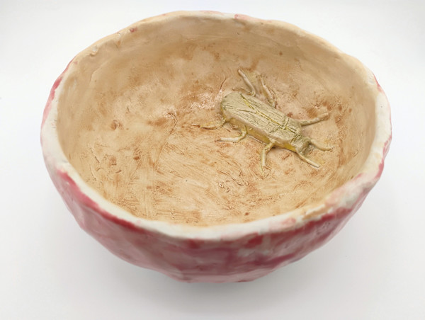 Bug Bowl by Space Monkey