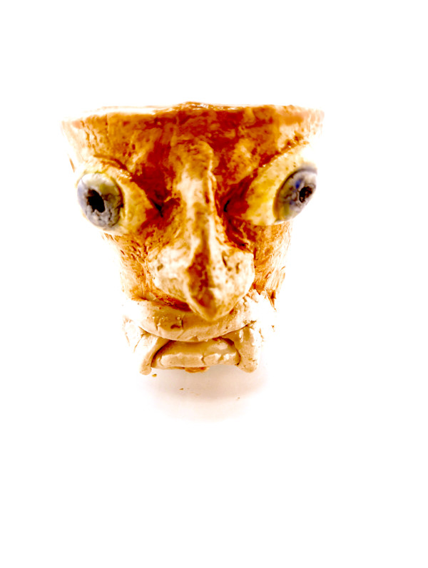 Tiki Cup: Fangs by Space Monkey