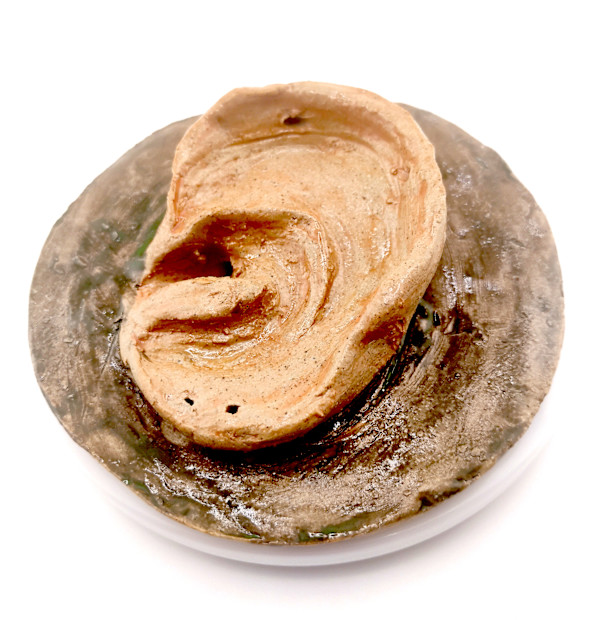 Soup Can Series: Ear by Space Monkey, Image 1.
