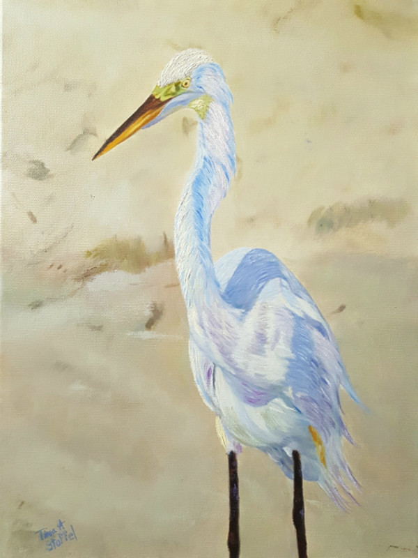 Boca White Egret