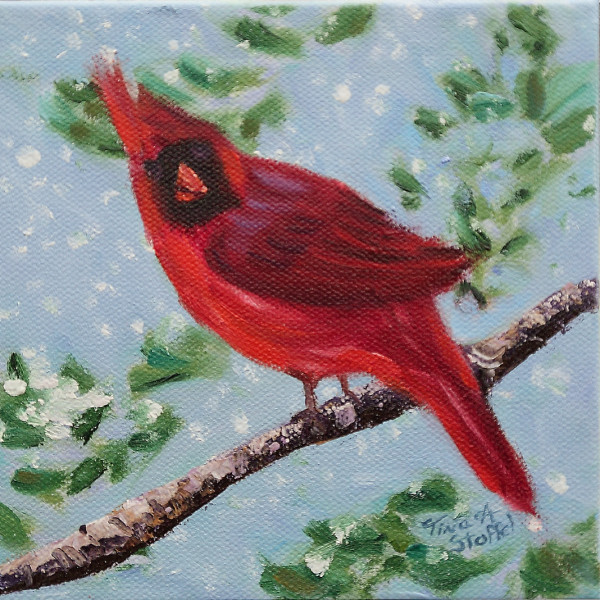 Snow Flury Cardinal