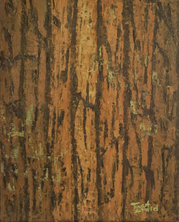 Abstract Pine Bark