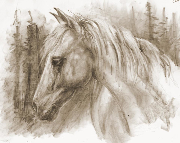 Pensive by C J Elsip