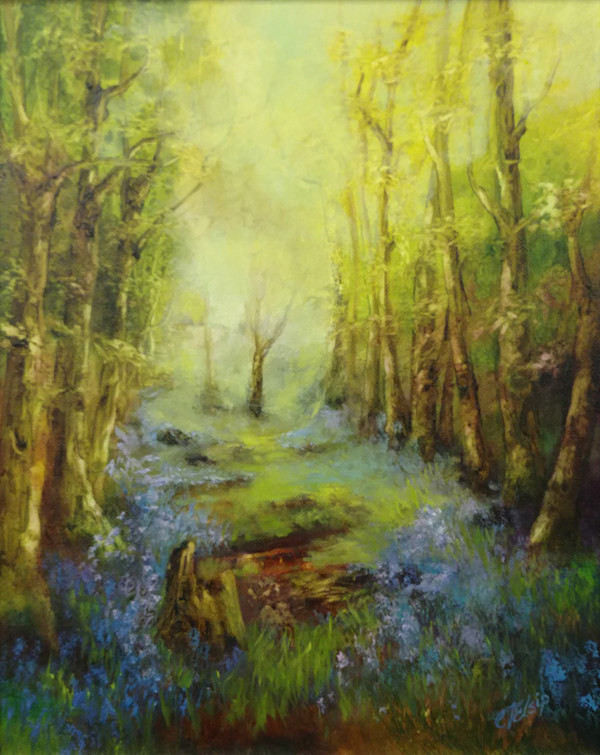 Bluebell Woods by C J Elsip