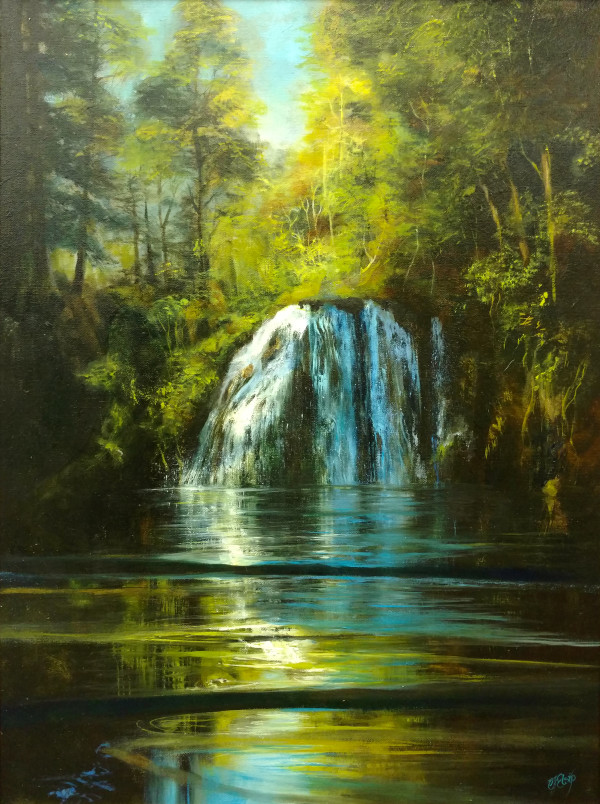 Cherry Creek Falls by C J Elsip