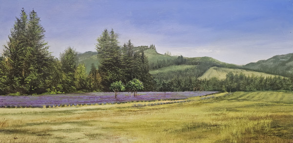 Cowlitz Falls Lavender Field by C J Elsip
