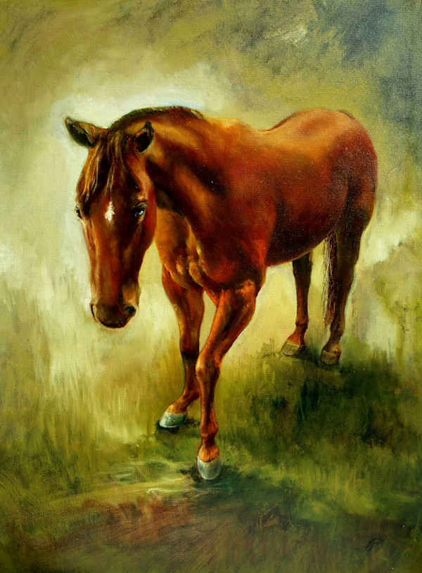 Challis by C J Elsip